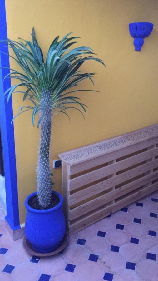 Authentic Moroccan Charm Apartment In Marrakech Terrace Марракеш Екстер'єр фото